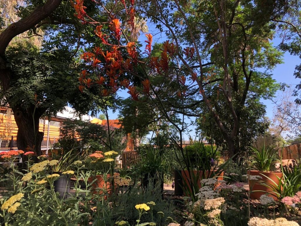 jardines sanadores